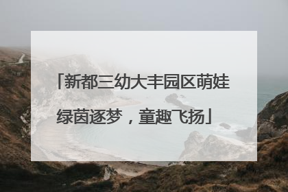 新都三幼大丰园区萌娃绿茵逐梦，童趣飞扬