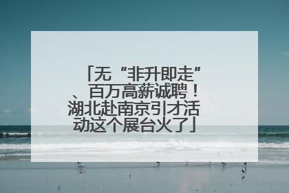 无“非升即走”、百万高薪诚聘！湖北赴南京引才活动这个展台火了