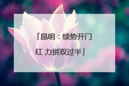 昆明：续势开门红 力拼双过半