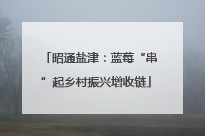 昭通盐津：蓝莓“串”起乡村振兴增收链