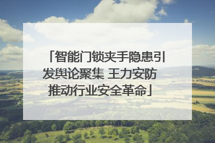 智能门锁夹手隐患引发舆论聚集 王力安防推动行业安全革命