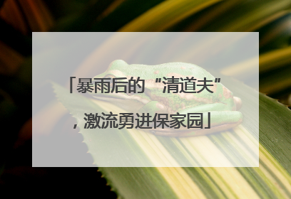 暴雨后的“清道夫”，激流勇进保家园
