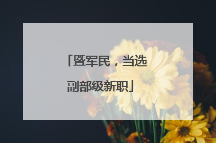 暨军民，当选副部级新职