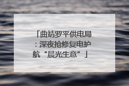 曲靖罗平供电局：深夜抢修复电护航“晨光生意”