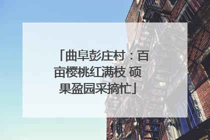 曲阜彭庄村：百亩樱桃红满枝 硕果盈园采摘忙