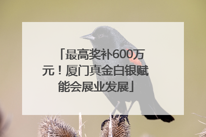 最高奖补600万元！厦门真金白银赋能会展业发展
