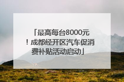 最高每台8000元！成都经开区汽车促消费补贴活动启动