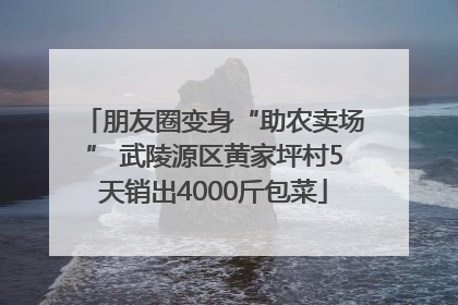朋友圈变身“助农卖场” 武陵源区黄家坪村5天销出4000斤包菜