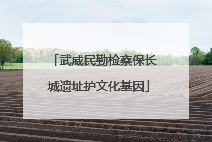 武威民勤检察保长城遗址护文化基因