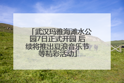 武汉玛雅海滩水公园7日正式开园 后续将推出夏浪音乐节等精彩活动