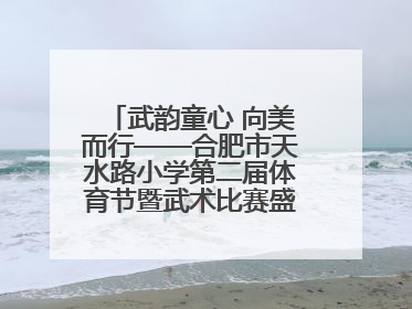 武韵童心 向美而行——合肥市天水路小学第二届体育节暨武术比赛盛大开幕