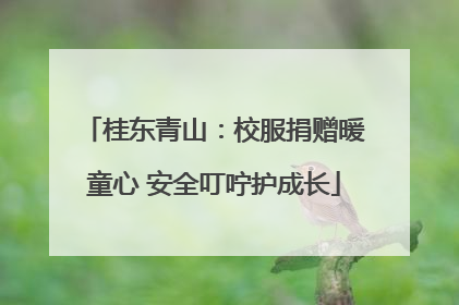 桂东青山：校服捐赠暖童心 安全叮咛护成长