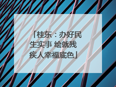 桂东：办好民生实事 绘就残疾人幸福底色