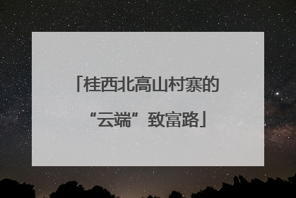 桂西北高山村寨的“云端”致富路