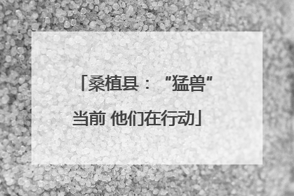 桑植县：“猛兽”当前 他们在行动