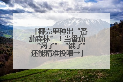 椰壳里种出“番茄森林”！当番茄“渴了”“饿了”还能精准投喂→