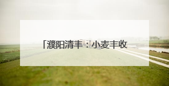 濮阳清丰：小麦丰收季 “一条龙”作业开启农业高效新篇章