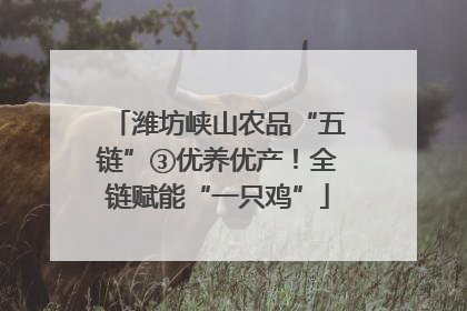 潍坊峡山农品“五链”③优养优产！全链赋能“一只鸡”
