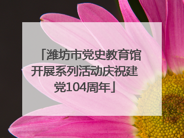 潍坊市党史教育馆开展系列活动庆祝建党104周年