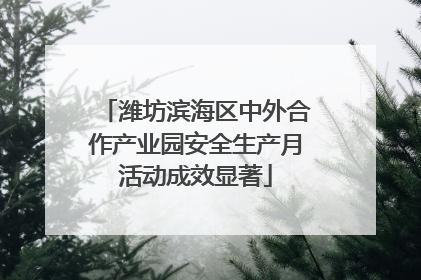 潍坊滨海区中外合作产业园安全生产月活动成效显著