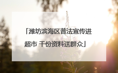 潍坊滨海区普法宣传进超市 千份资料送群众