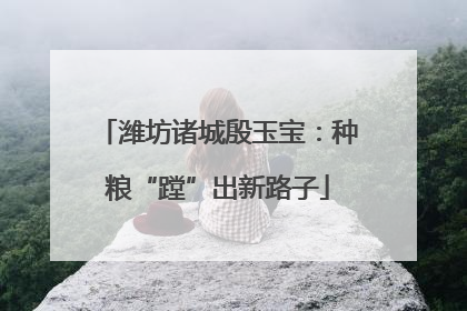 潍坊诸城殷玉宝：种粮“蹚”出新路子
