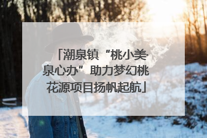 潮泉镇“桃小美·泉心办”助力梦幻桃花源项目扬帆起航