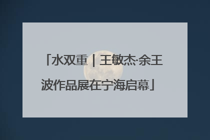水双重｜王敏杰·余王波作品展在宁海启幕