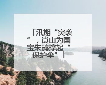 汛期“突袭”，崀山为国宝朱鹮撑起“保护伞”