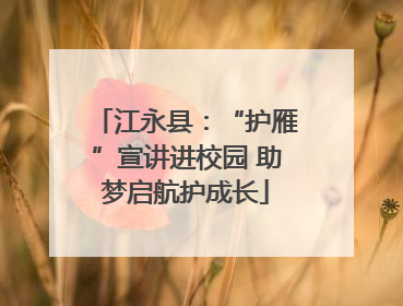江永县：“护雁”宣讲进校园 助梦启航护成长