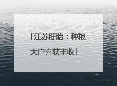 江苏盱眙：种粮大户喜获丰收