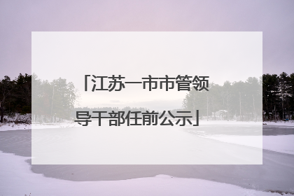 江苏一市市管领导干部任前公示