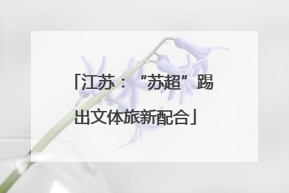 江苏：“苏超”踢出文体旅新配合