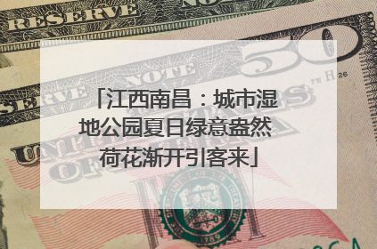 江西南昌：城市湿地公园夏日绿意盎然 荷花渐开引客来