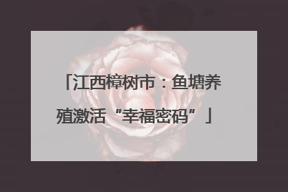 江西樟树市：鱼塘养殖激活“幸福密码”