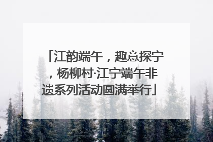 江韵端午，趣意探宁，杨柳村·江宁端午非遗系列活动圆满举行