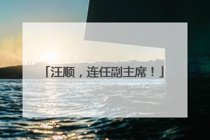 汪顺，连任副主席！
