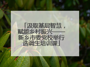 汲取基层智慧，赋能乡村振兴——新乡市委党校举行选调生培训课