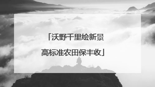 沃野千里绘新景 高标准农田保丰收