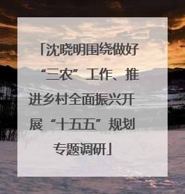 沈晓明围绕做好“三农”工作、推进乡村全面振兴开展“十五五”规划专题调研