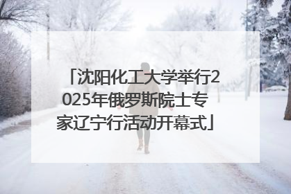 沈阳化工大学举行2025年俄罗斯院士专家辽宁行活动开幕式