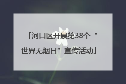 河口区开展第38个“世界无烟日”宣传活动
