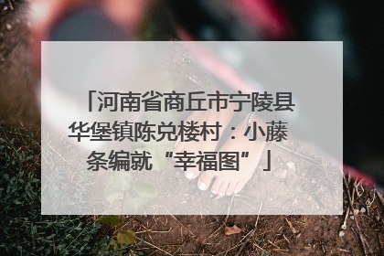 河南省商丘市宁陵县华堡镇陈兑楼村：小藤条编就“幸福图”