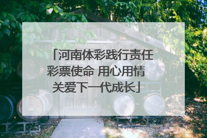 河南体彩践行责任彩票使命 用心用情关爱下一代成长
