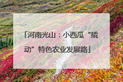 河南光山：小西瓜“撬动”特色农业发展路