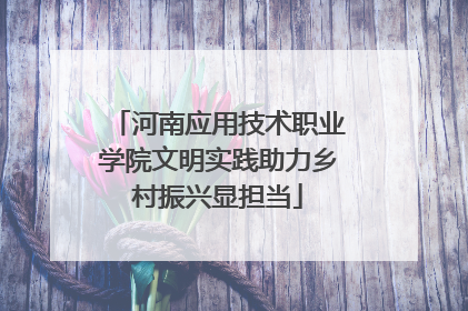 河南应用技术职业学院文明实践助力乡村振兴显担当