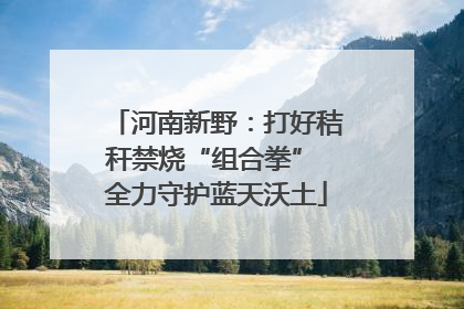 河南新野：打好秸秆禁烧“组合拳” 全力守护蓝天沃土