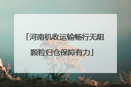河南机收运输畅行无阻 颗粒归仓保障有力