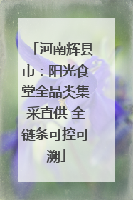 河南辉县市：阳光食堂全品类集采直供 全链条可控可溯