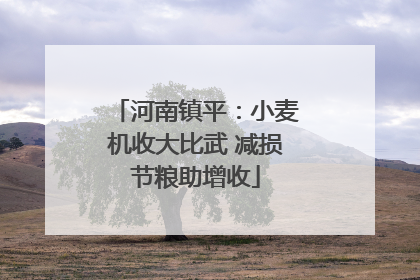 河南镇平：小麦机收大比武 减损节粮助增收